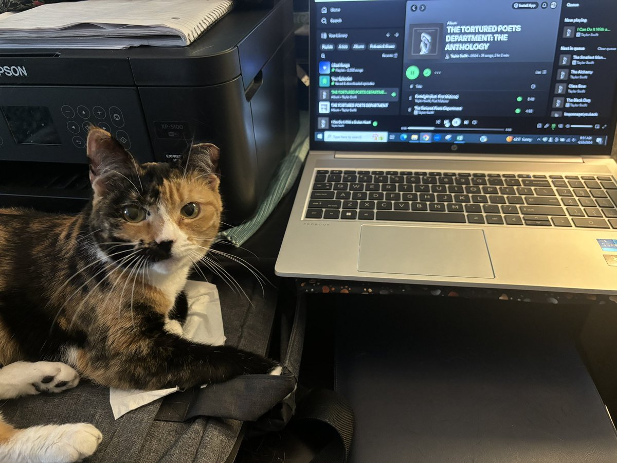 jquinvoteblue's tweet photo. Willow helping me listen to #TPPD #TSTTPD with me this am @taylornation13 @taylorswift13 https://t.co/bFCOWRL6E6
