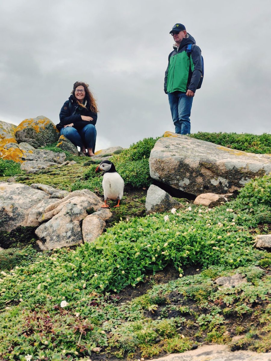 An adventure to the Saltee Islands! ☘️ 

#Ireland #Irelandtravel #Irishblogger #Irish #visitireland #discoverireland #saltee #salteeislands #puffin #puffins