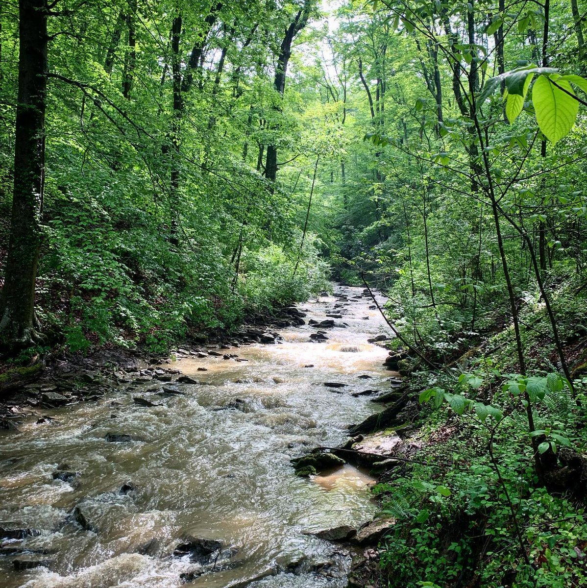 Happy Earth Day from Discover Clermont! We love exploring Clermont County and experiencing one of a kind outdoor recreation!🌍  #DiscoverClermont #EarthDay #OutdoorRecreation