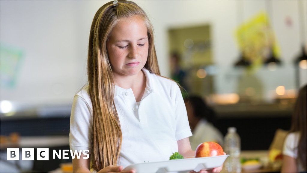 Children may be turning their noses up at free school dinners because they prefer processed foods.

#education #ukschools #ukstudents #ukpupils #freeschoolmeals

buff.ly/440eNAs