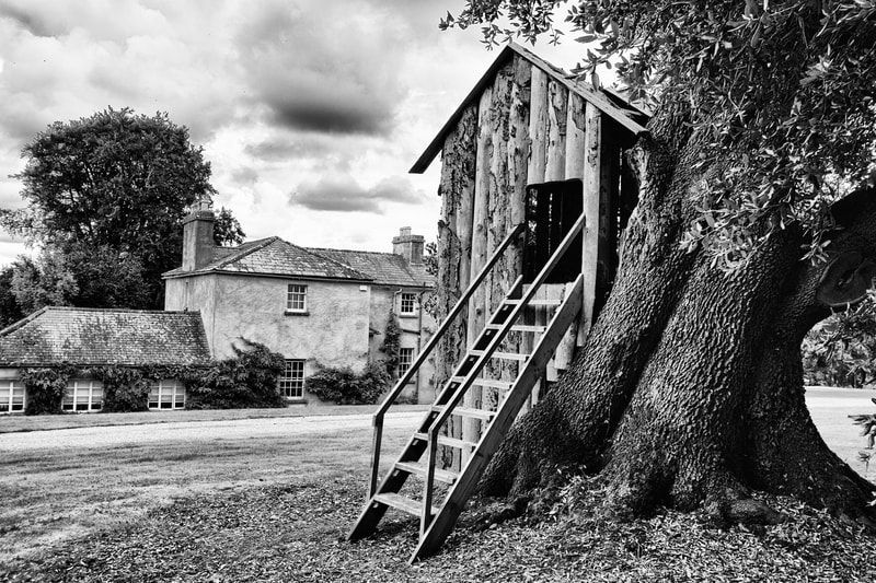 My vagabond photography: Ireland 2021: Part 1. Location: Jerpoint, County Kilkenny, Ireland (#Travelphotography, #Ireland, #Jerpoint, #LostCityOfSaintNicholas, #Shamanism, #Vagabonding, #Landscapephotography, #Streetphotography, #Meditation, #Yoga): buff.ly/3lMC4jy