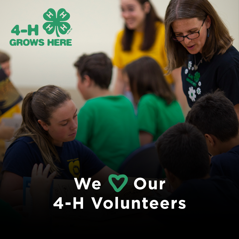 We love our #Virginia4h volunteers! 🍀 Did you know? Nationally, a network of over 500,000 #volunteers provides caring and supportive #mentoring to all 6 million 4‑H’ers, helping them grow into true #leaders! 💫 #NationalVolunteerWeek