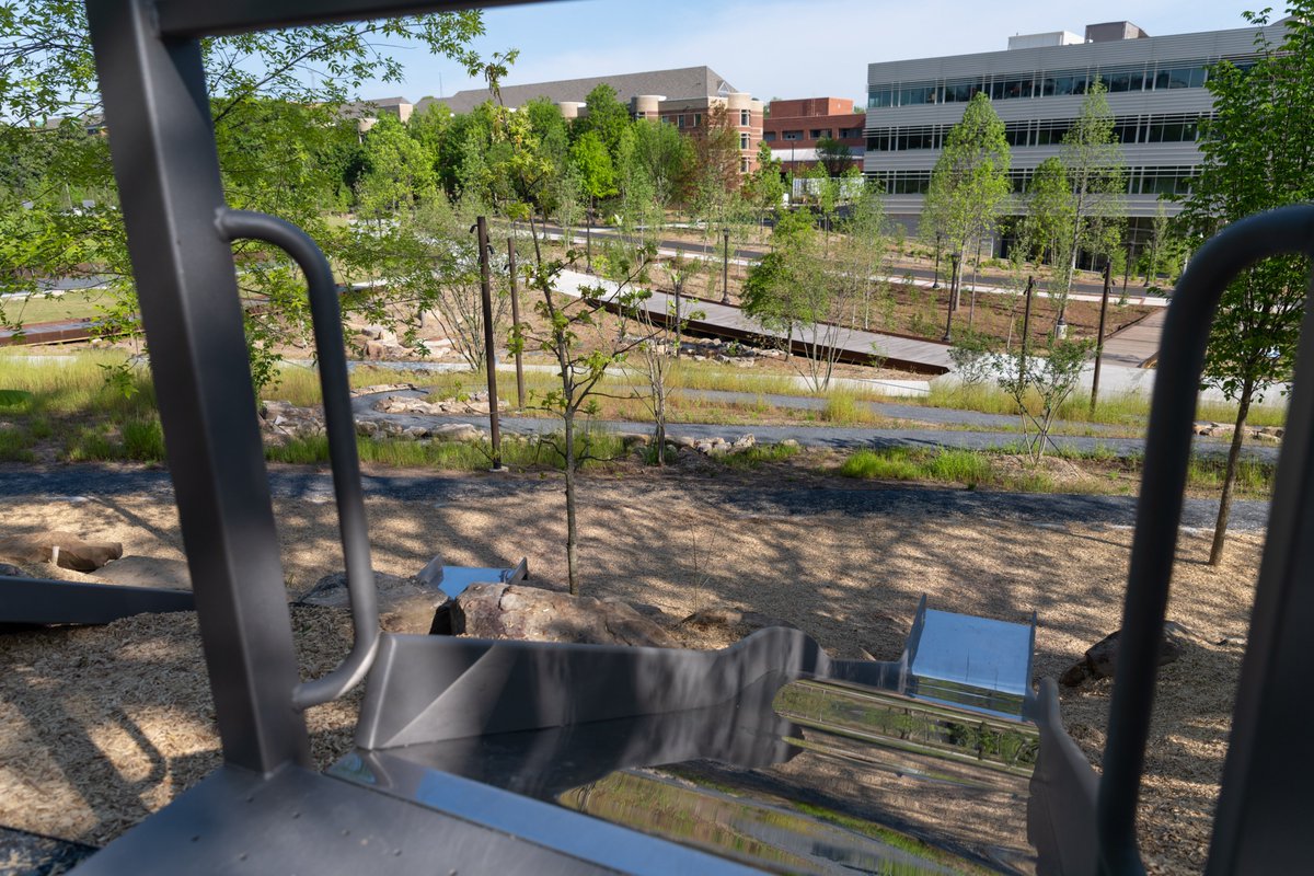 The Georgia Tech EcoCommons is an 8-acre revitalized greenspace designed to reduce stormwater runoff while also supporting increased biodiversity and living-learning laboratories on campus. The EcoCommons reduces stormwater runoff by capturing or reusing 50% of the rainfall on