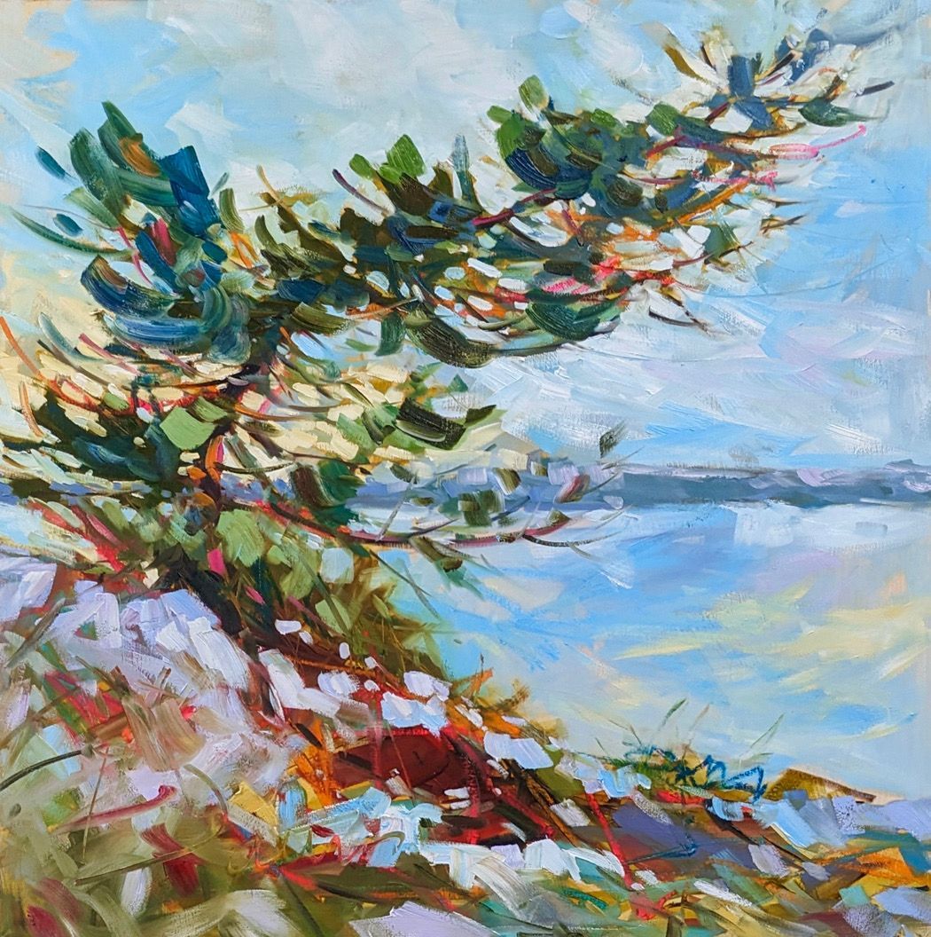 Sheila Davis,     Embrace the Wind,     oil on panel,     30' x 30'
.
.
.
#landscape #painting #art #fineart #collector #nature #artcollector #trees #forest #light #colorful #canadianartist #torontoartgallery #contemporary #landscapepainting #lake #shore