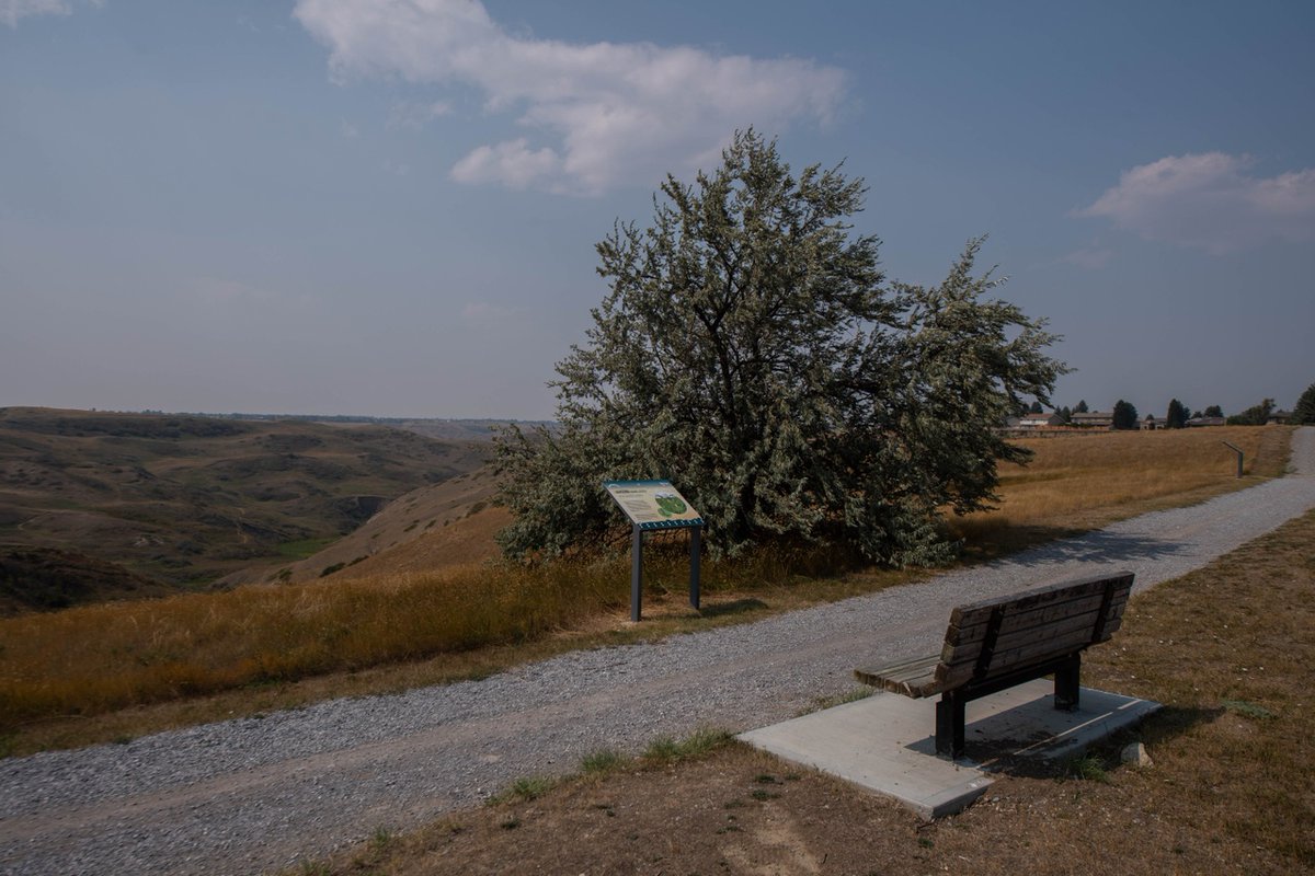 LC_CTLI's tweet image. Grateful every day to live and work in such a beautiful place. Every action big or small, counts in preserving the beauty and diversity of our planet. 

What are you going to do this Earth Day?

#EarthDay #EarthDay2024 #LearningInnovation #Sustainability