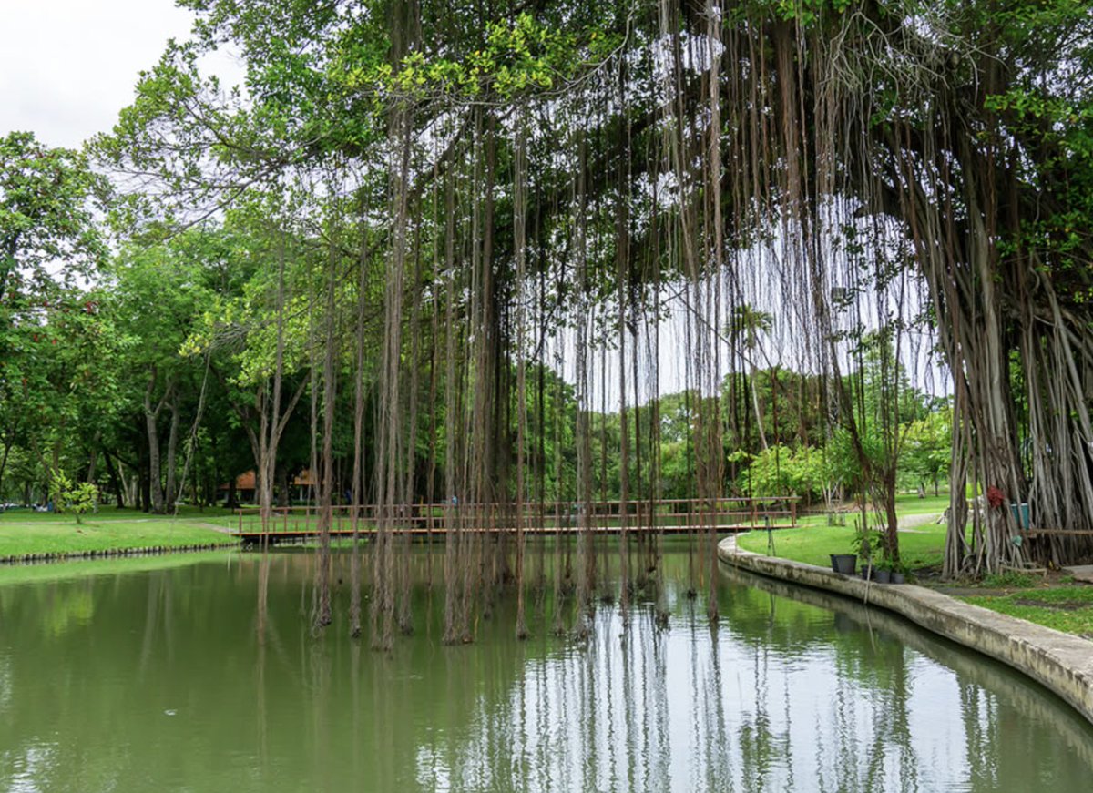 Adopting Environmentally Friendly Maintenance Practices

To reduce potential harm and promote healthier ecosystems, pond managers can adopt environmentally friendly maintenance practices. For instance, using native plant species for erosion control...

aquaticrestoration.net/retention-pond…