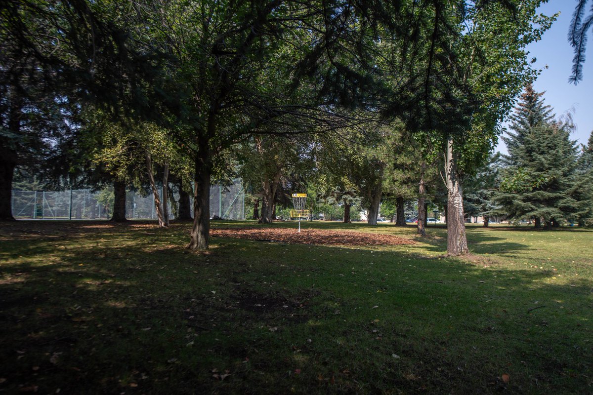 LC_CTLI's tweet image. Grateful every day to live and work in such a beautiful place. Every action big or small, counts in preserving the beauty and diversity of our planet. 

What are you going to do this Earth Day?

#EarthDay #EarthDay2024 #LearningInnovation #Sustainability