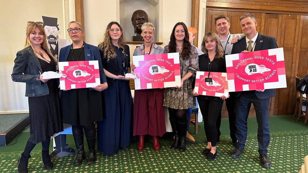 In 2023 we held a Parliamentary Reception for our campaign to end LD50 tests, with great engagement from MPs and industry! Write to your MP today, asking them to support Better Science. ⬇️ rb.gy/alqwwy #WDAIL #Parliament #ParliamentaryReception #BetterScience