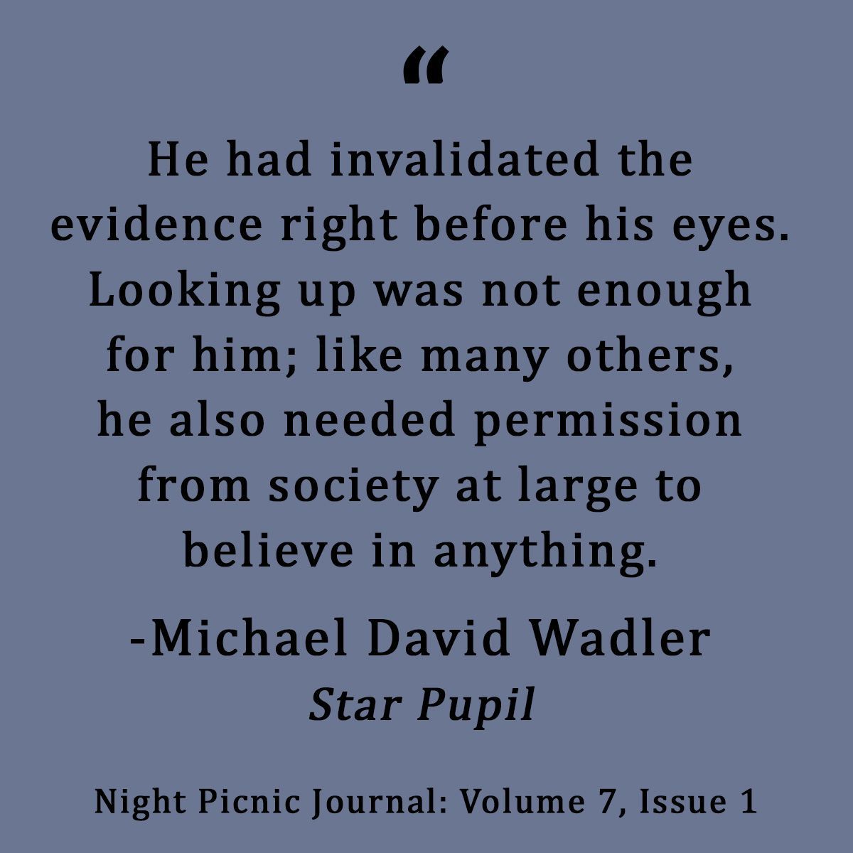 #michaeldavidwadler #nightpicnic #literature #fiction #quoteoftheday