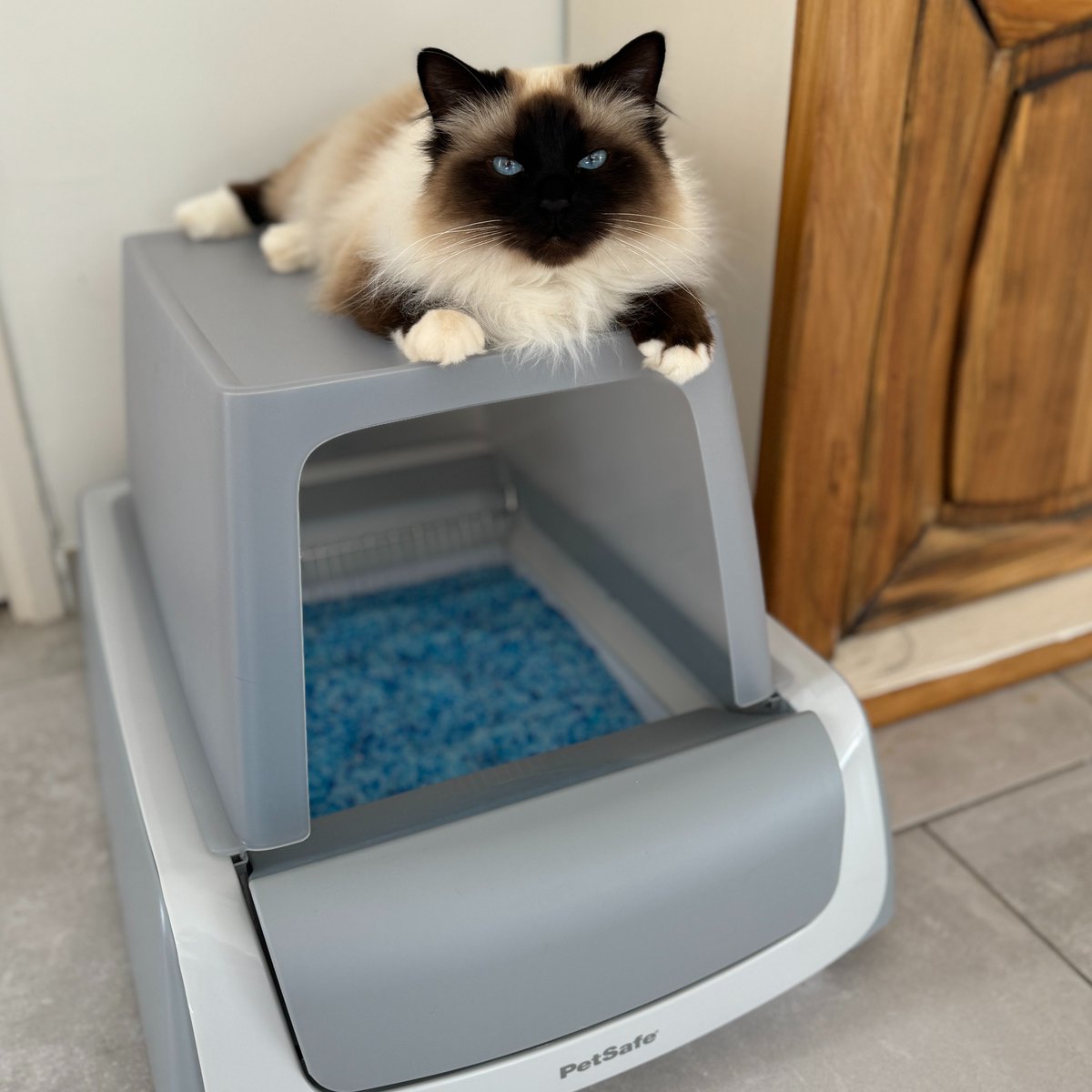 🐾GIVEAWAY 🐾 Want to win the ScoopFree Self-Cleaning Litter Box? 🐈 To enter: retweet, comment and follow @PetSafeUK #Giveaway #Competiton