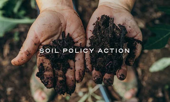 As many nations are going for the elections in the year 2024 ,the leaders of the countries should give importance to the soil. Bring #policiesforsoil ,enrich the health of the soil. #savesoil 🙏 #consciousplanet 🤞