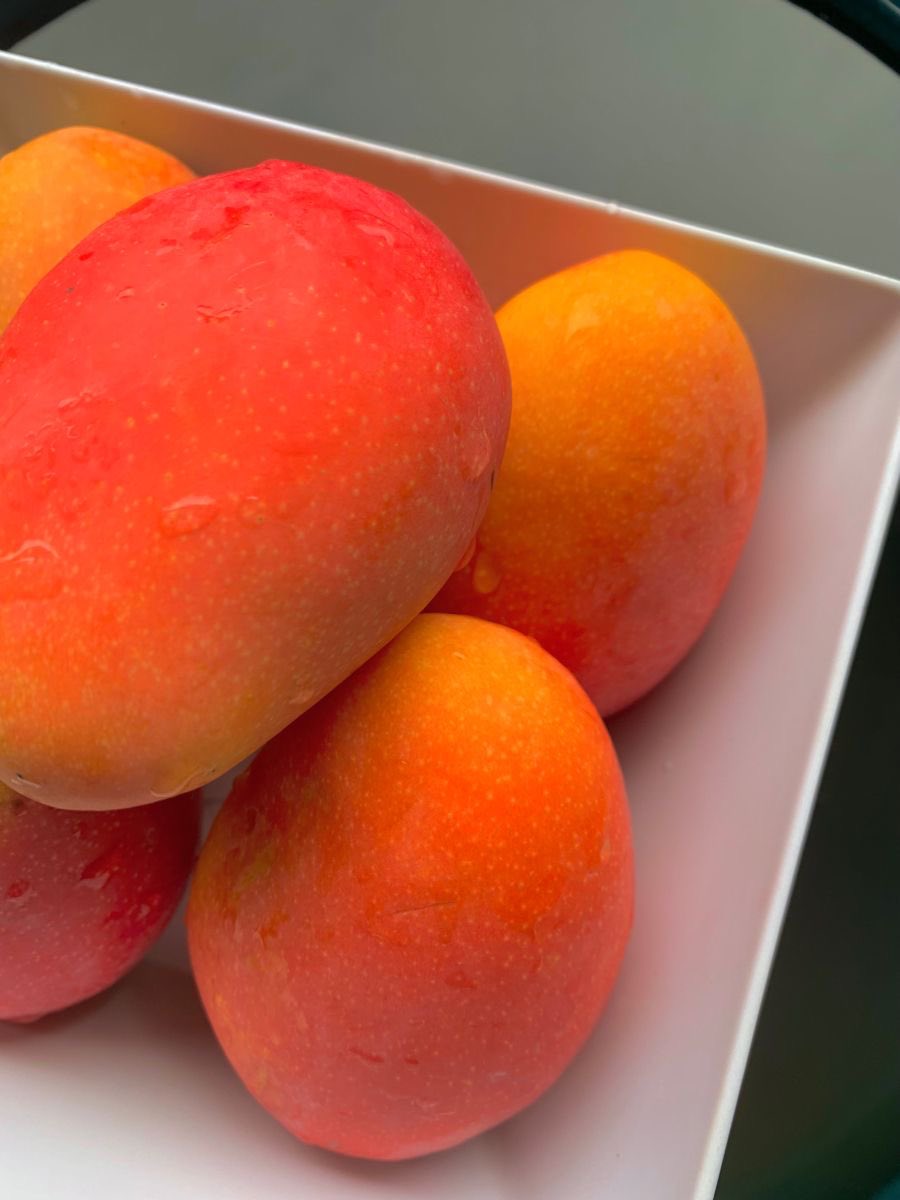 Mango: the ultimate summer treat.