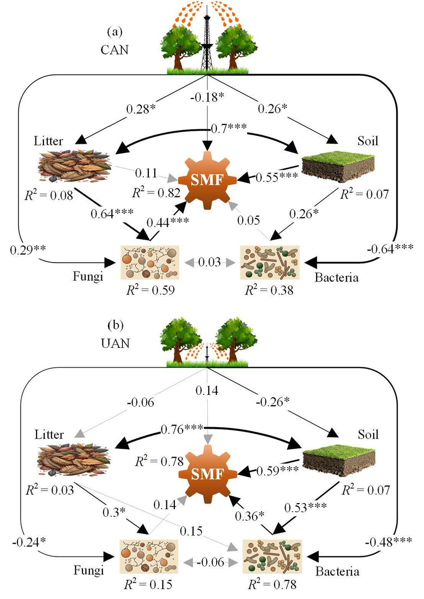 || OUT NOW || Canopy nitrogen deposition enhances soil ecosystem multifunctionality in a temperate forest 📄 onlinelibrary.wiley.com/doi/abs/10.111…