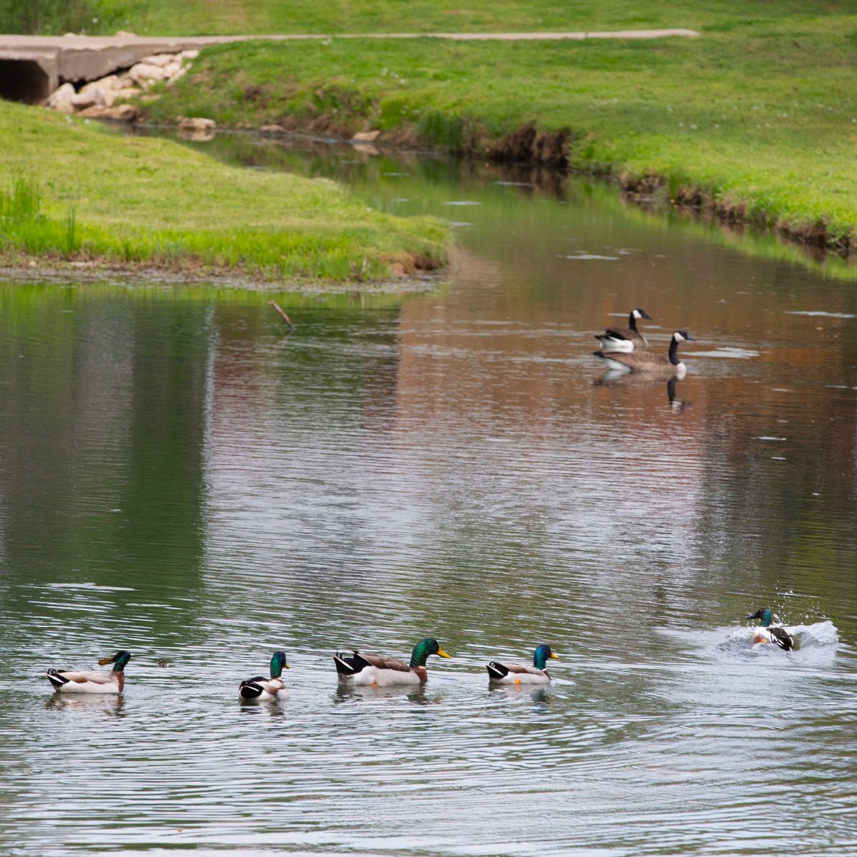 Happy Earth Day, Corinth! 🌎♻️🌳
