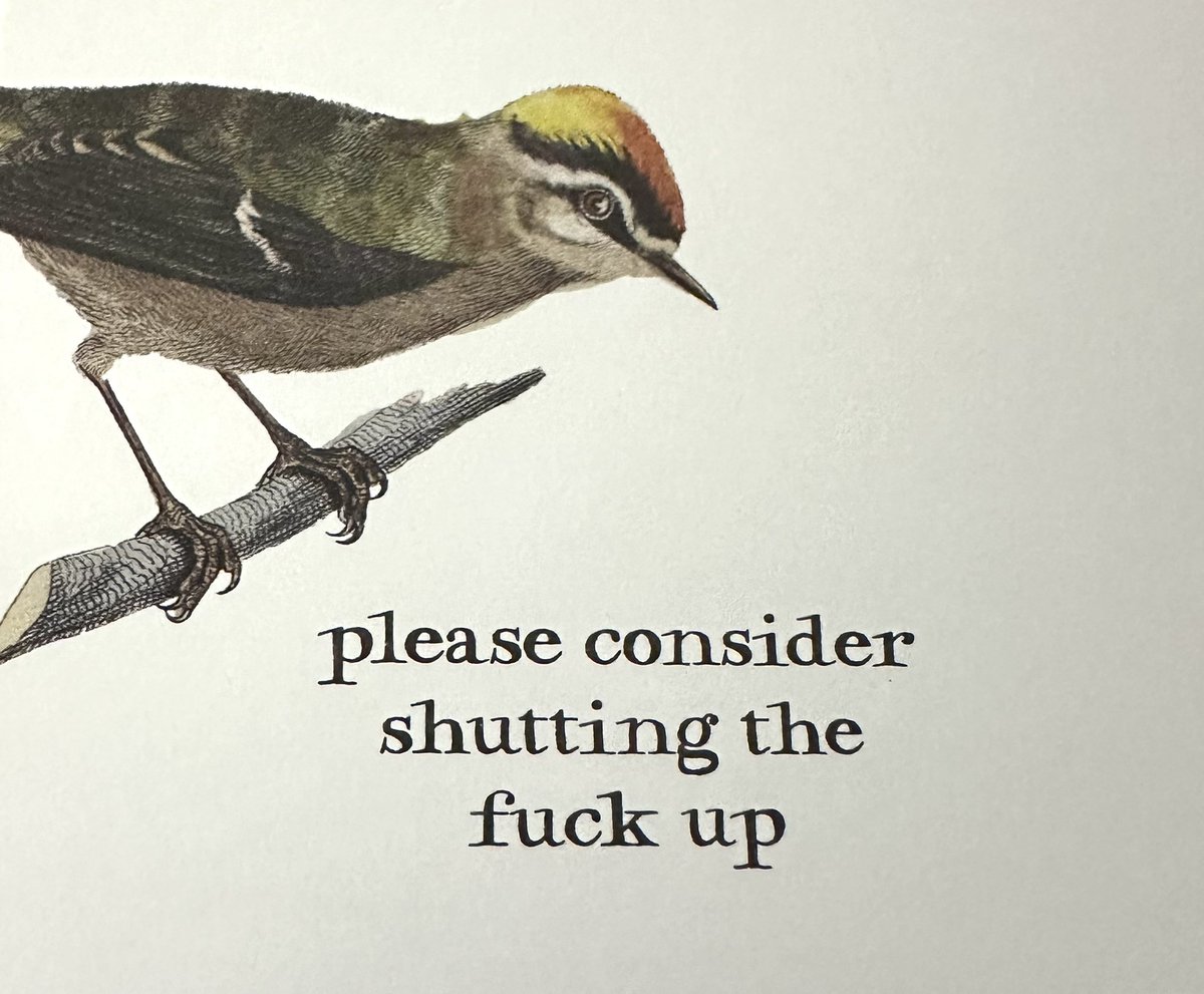 MsRhaine's tweet photo. I feel this weeks @EffinBirds calendar on so many levels. Thanks @aaronreynolds 🤣 #effinbirds https://t.co/0EvNys2yrc