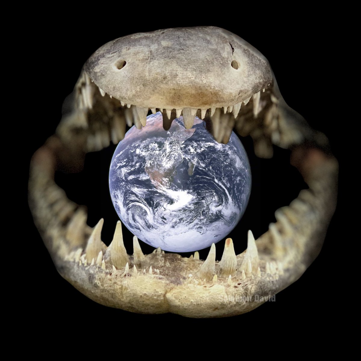 Happy #EarthDay🌎 from <a href="/TheGarLab/">GarLab</a>