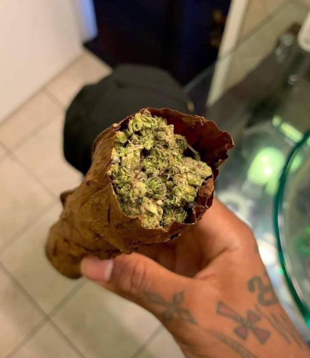 Would you smoke this?🤔

#Mmemberville #StonerFam #CannabisCommunity #WeedLovers