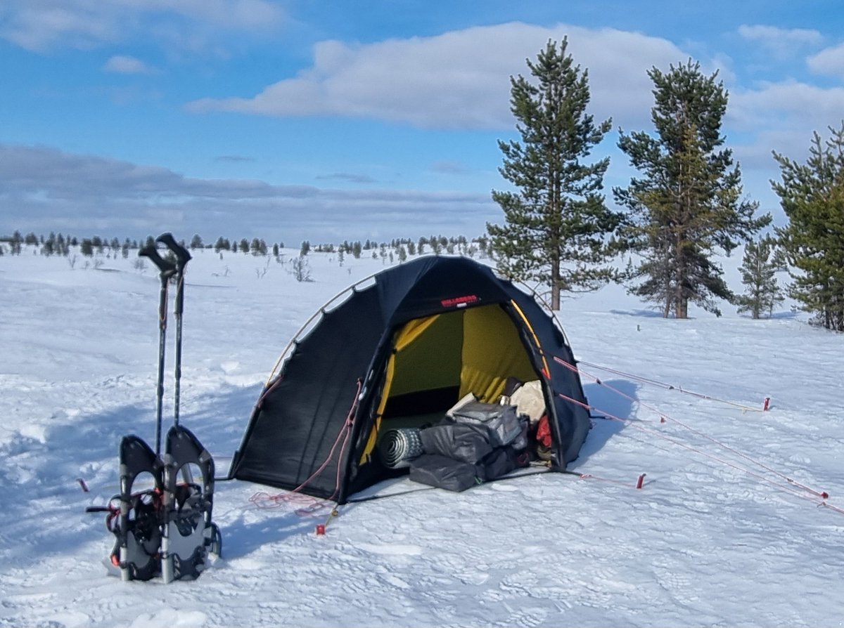 Mark Waring tweet media