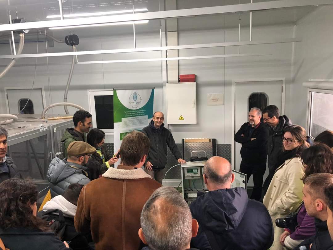 LIFE GREEN SHEEP tweet media