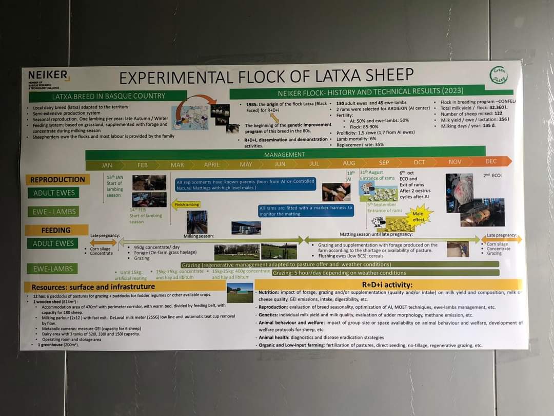 LIFE GREEN SHEEP tweet media