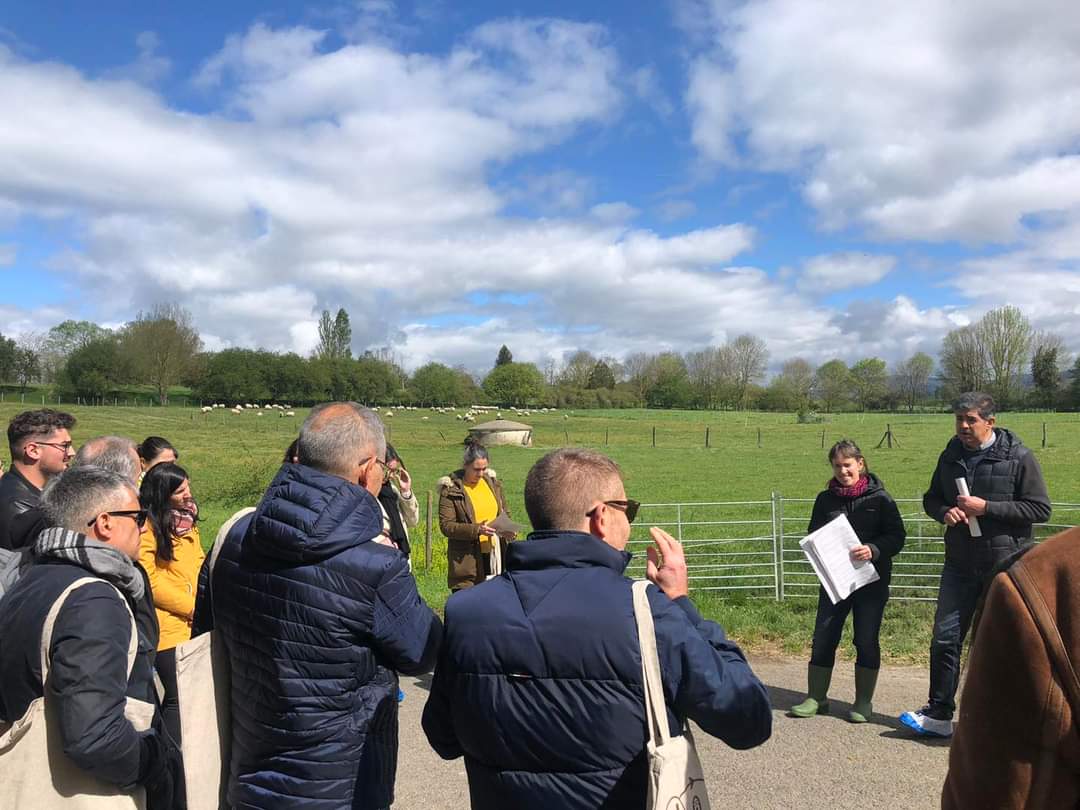 LIFE GREEN SHEEP tweet media