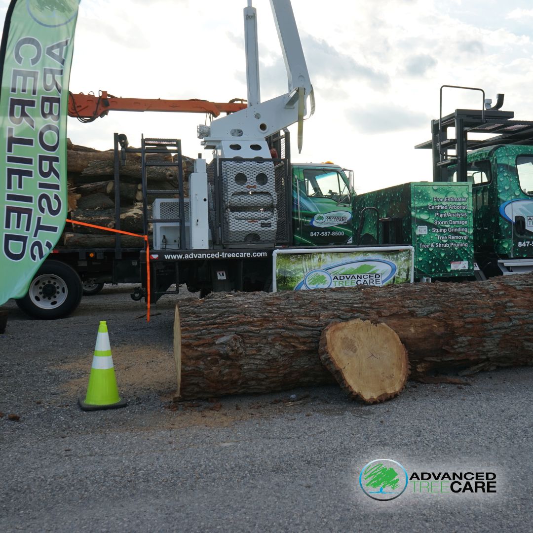 With unwavering professionalism and expertise, we ensure your landscape is left clear and pristine, ready for its next chapter.

Learn more: advanced-treecare.com

#AdvancedTreeCare #TreeCare #TopTreeCare #TreeService #TreeRemovalService #Landscaping #Arborists