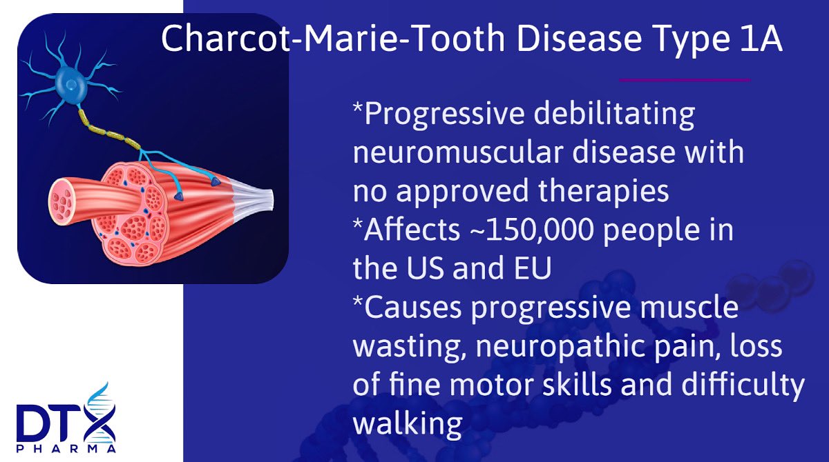 #cmtwegotthis #cmt1a #neuropathy #charcotmarietooth #cmtneuropathy #hnf #hnf4cmt #dtxpharma #charcotmarietoothdisease #cmtstrong #cureCMT                       hnf-cure.org