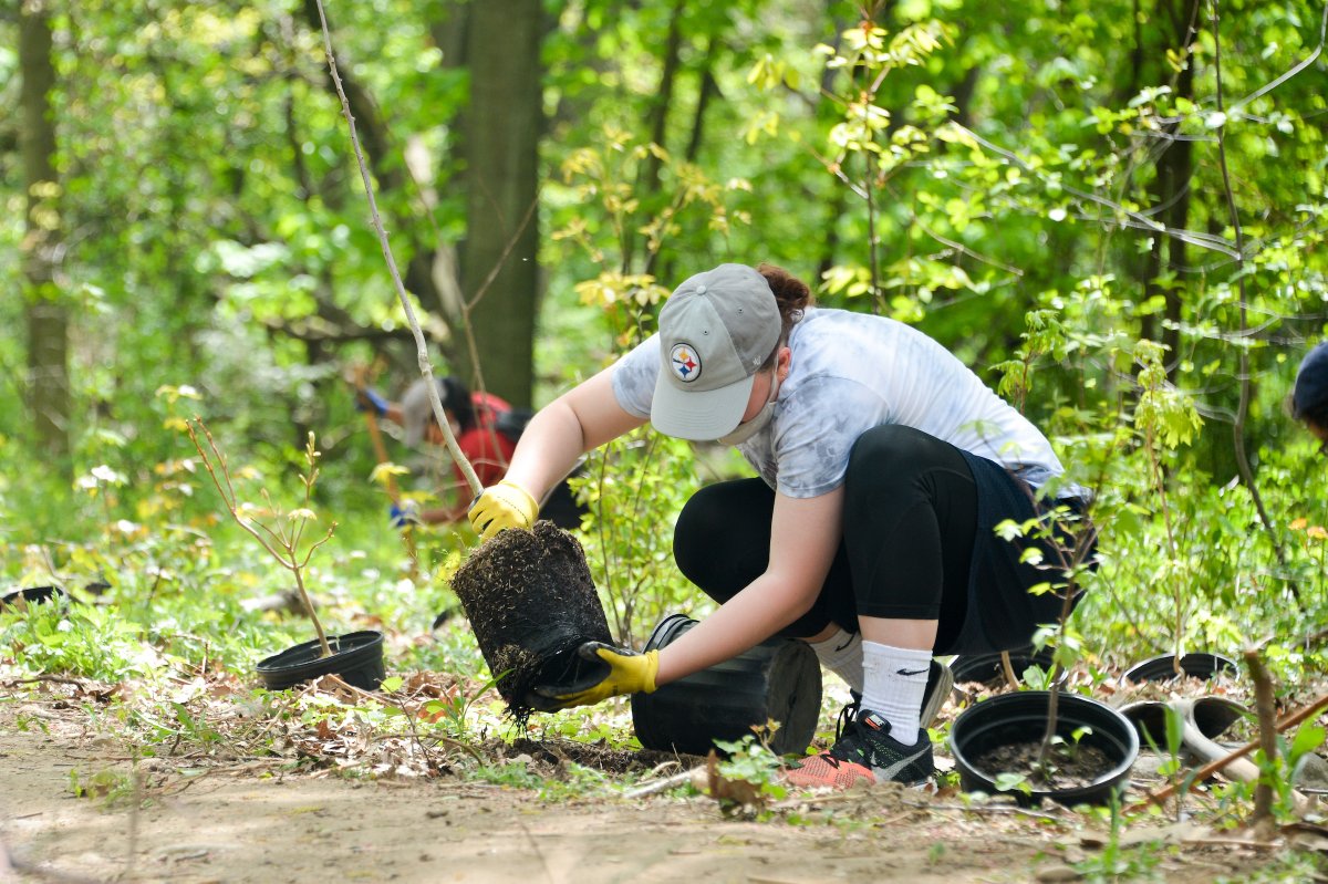 Happy Earth Day - get green with us in our parks and community gardens! 🌿From hiking adventures to tree planting activities and nature-themed programs for the whole family, there’s tons of ways to connect with nature in NYC: on.nyc.gov/2HgkAuz