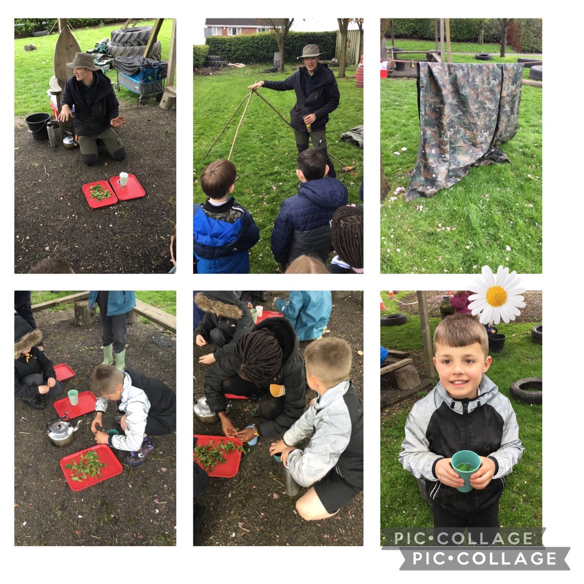 Towngate Primary Academy tweet media