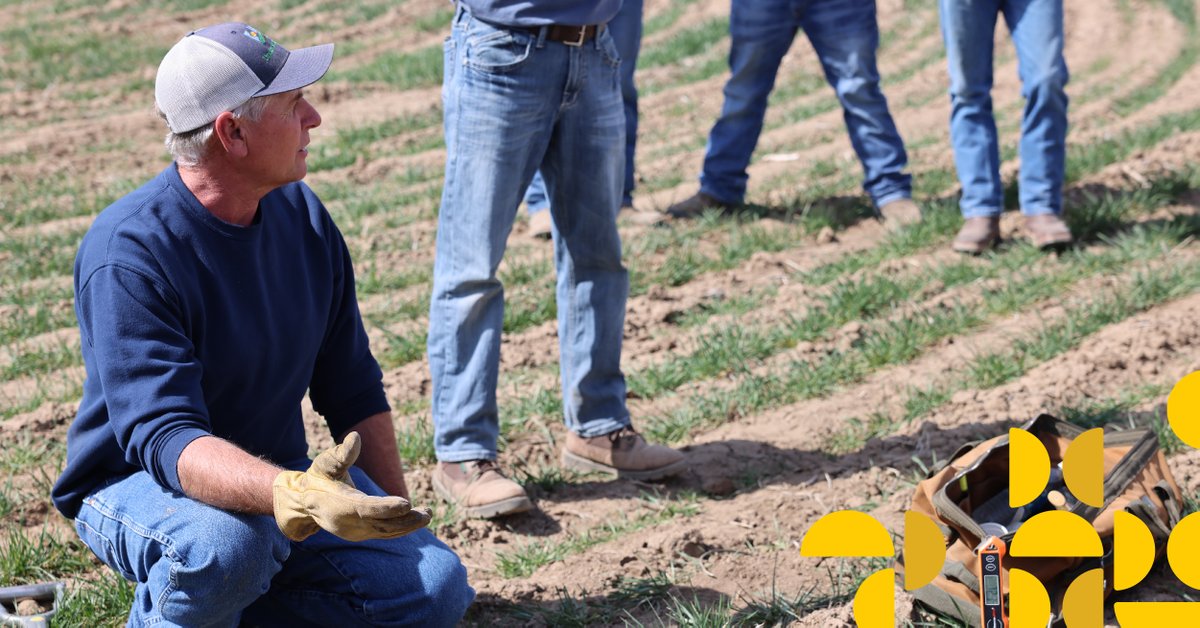 Nothing like showing some earth on Earth Day! Our regenerative agriculture field day in Kansas this spring helped producers learn more about practices that build soil health. Check out our other regen ag efforts: scoular.com/news/scoular-p… #RegenerativeAgriculture #farming