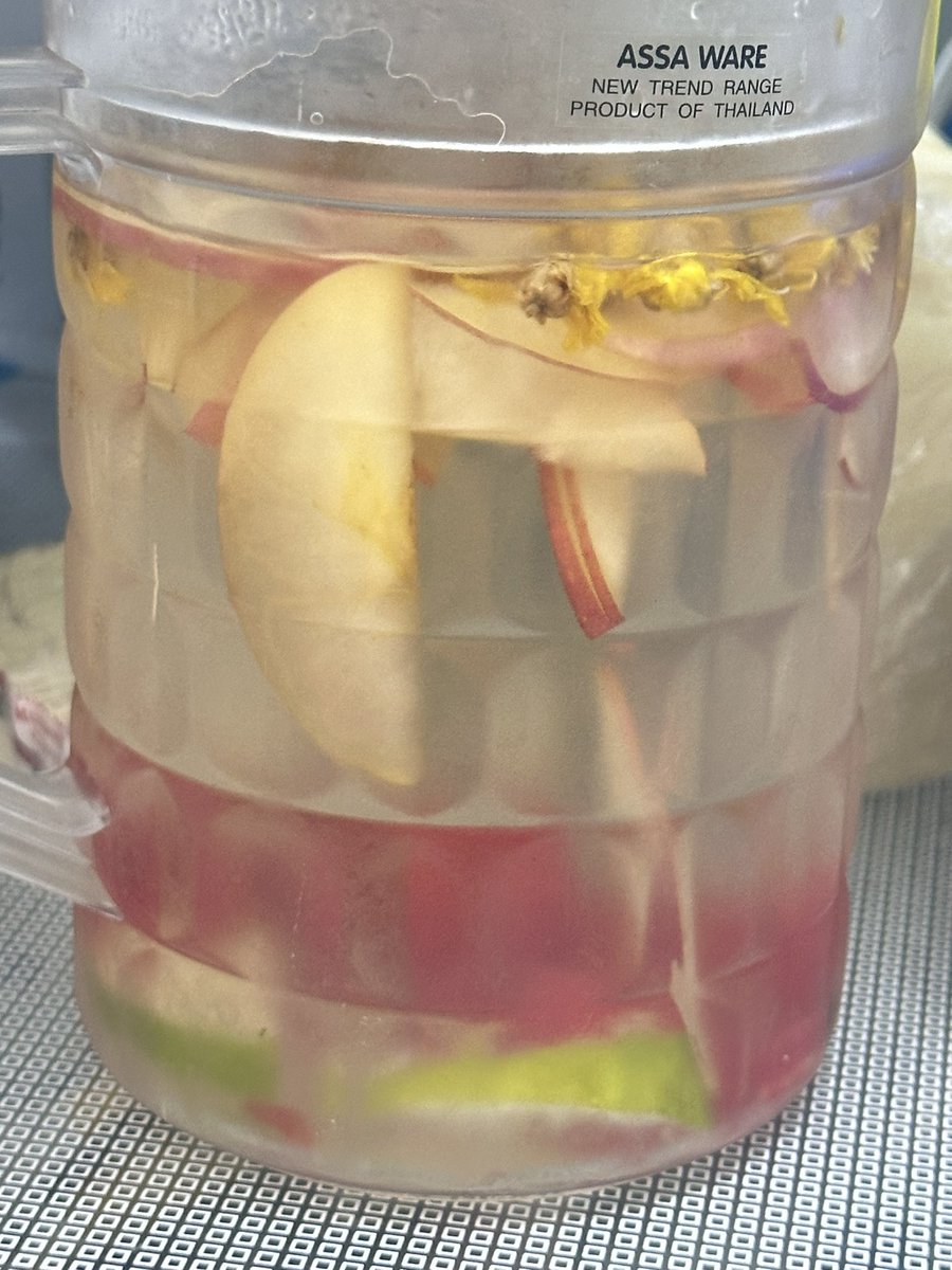 กลับบ้านมา มี infused water ในตู้เย็นมันดีจริงนะ

Apple มะนาว แตงโม และดอกเก๊กฮวย

🌸🌸