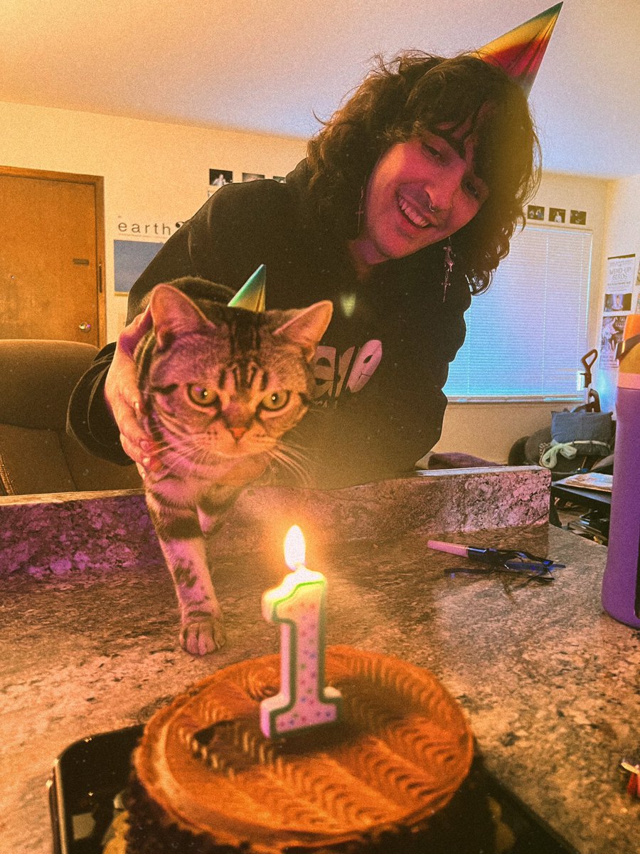 hauntingez's tweet photo. EVERYONE SAY HAPPY BIRTHDAY TO OUR CAT!!! https://t.co/otS5jF5R71