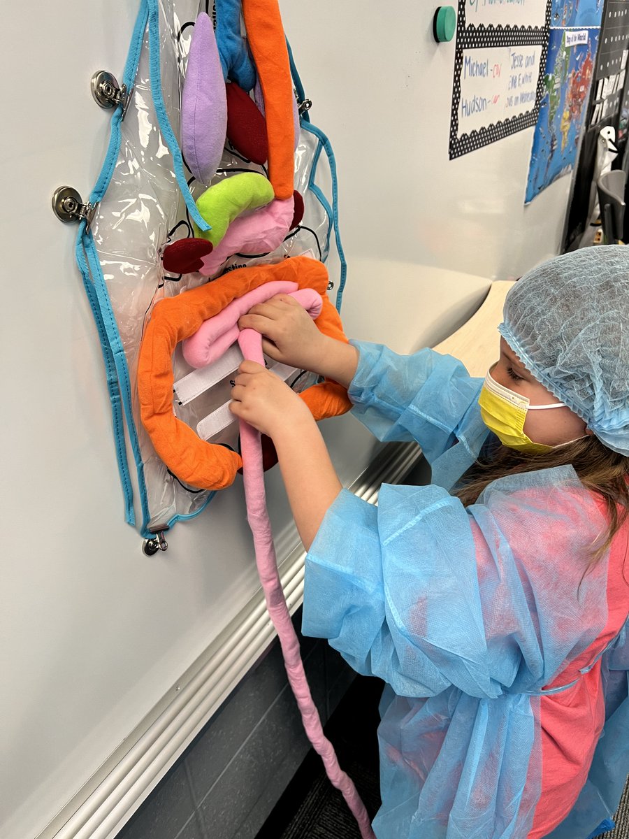 The doctor is in! As a culminating activity for a human body unit, the 2nd graders at New Market transformed their classrooms into operating rooms & performed 'surgery' as they reviewed what they have learned! Special thanks to the PTO & classroom families for donating items!