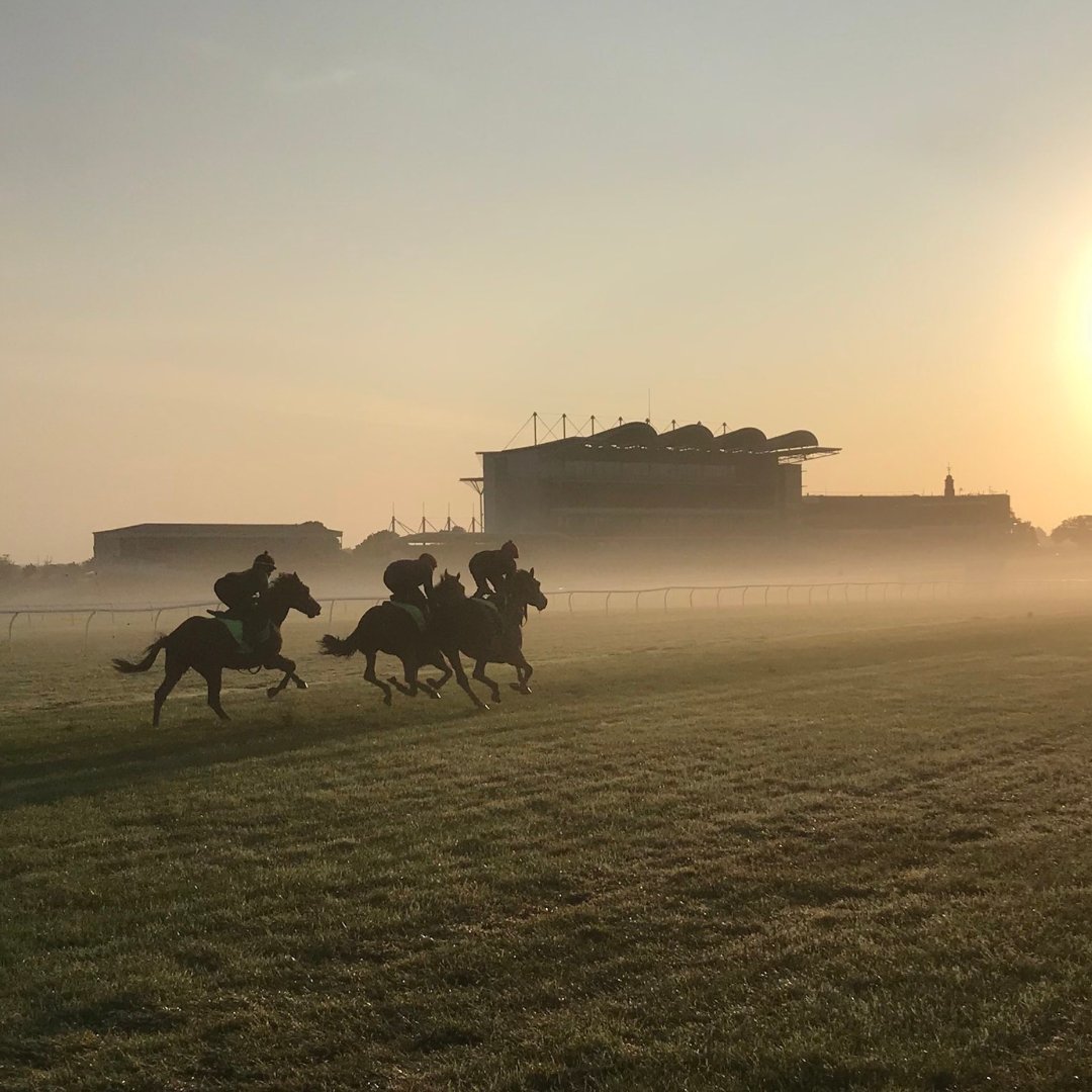 Did you know? With a history of over 350 yrs, and playing host to the first ever horserace under written rules, the @NewmarketGallop sit at the very heart of horseracing. 🏇 Spanning 2,500 acres, they are used by over 3,000 horses and 80 trainers every day!