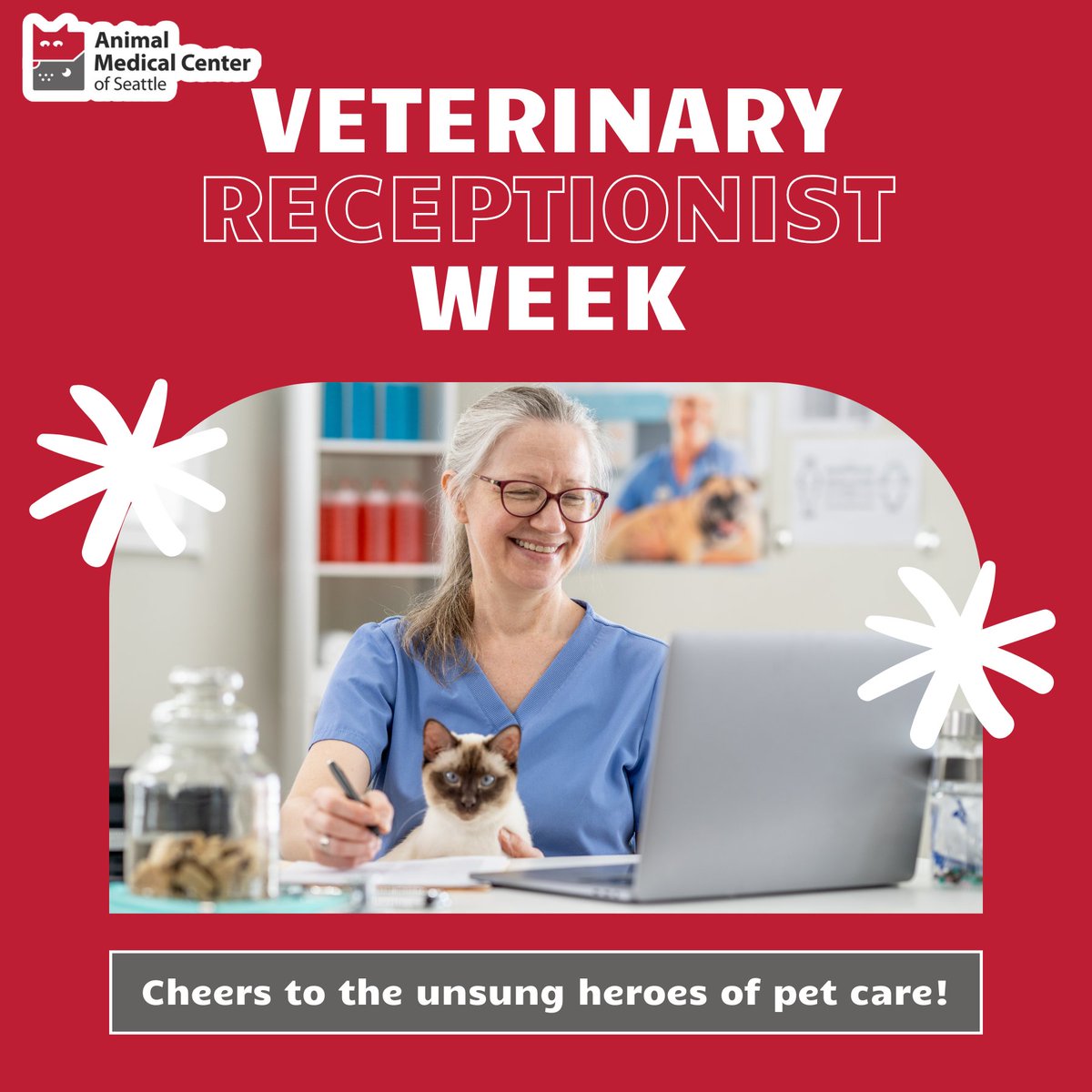 AMCSeattle Vet tweet media