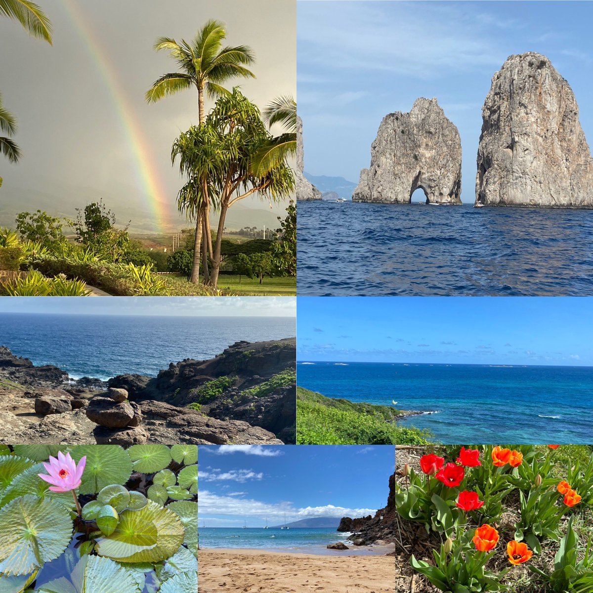 Happy Earth Day 🌎