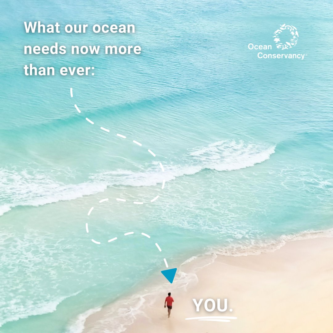 This Earth Day, our ocean needs you now more than ever. 🌊🌎🌊 We are working to tackle the climate, biodiversity and plastics crises, but we can’t do it without YOU. Act now for our ocean at the link below! #PlanetVsPlastics #EarthDay2024 🔗 oceanconservancy.org/action-center