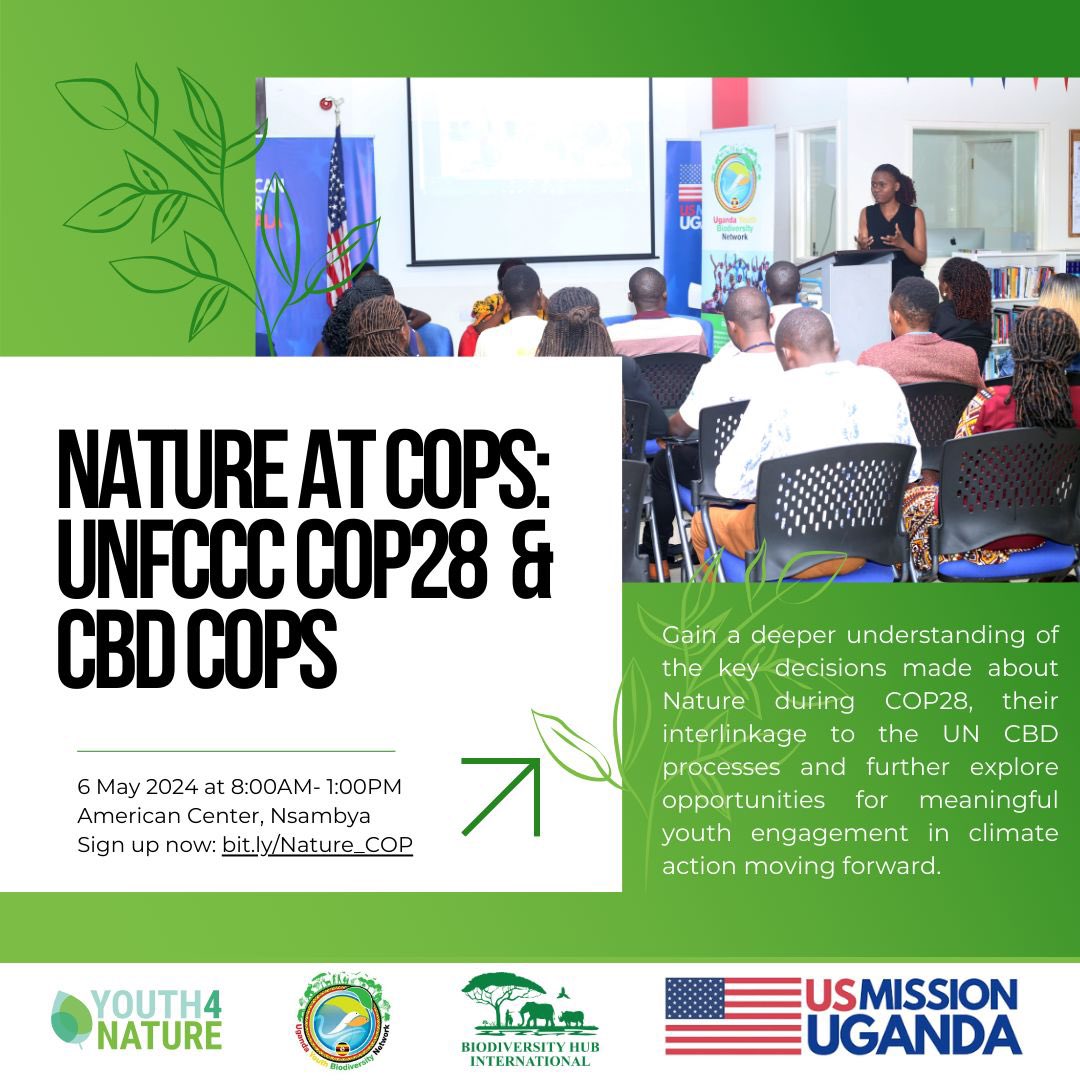 🥁🥁🍃🌍 Nature Event ☘️ Youth4Nature(Y4N), GYBN-Uganda and Biodiversity Hub International(BHI) are inviting to you all to the 'Nature at COPs Workshop'. This event will unpack Outcomes and Discussions on Nature at COP28. Date: 6th May, 2024 Register via; bit.ly/Nature_COP