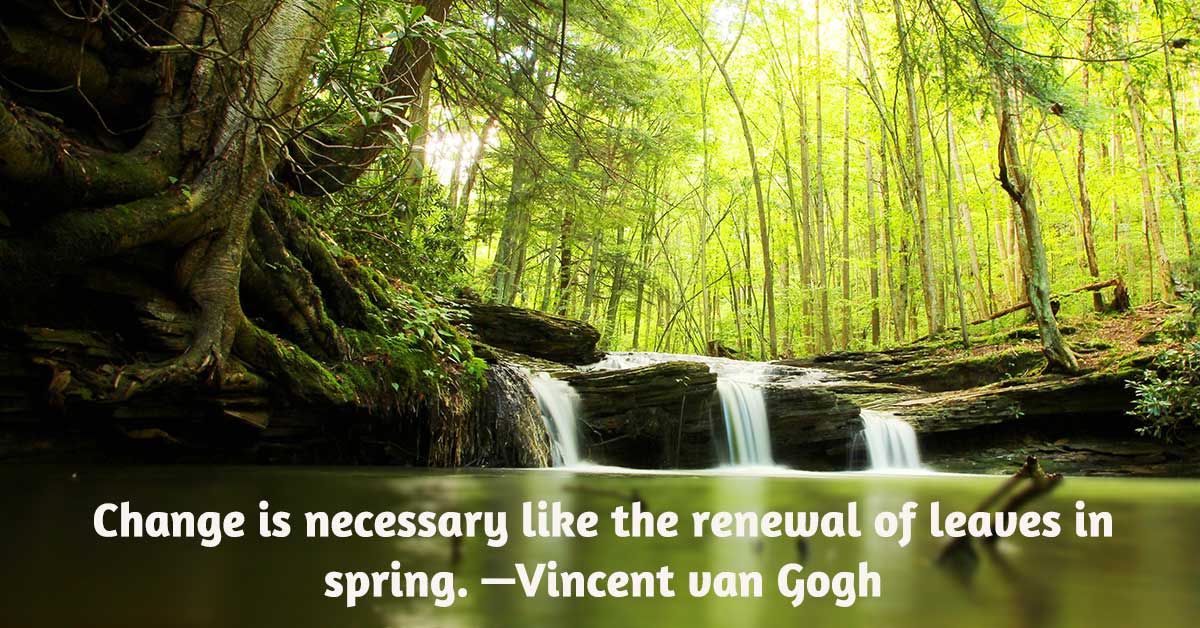 Change is necessary like the renewal of leaves in spring —Vincent van Gogh
breakingthecycle.com #mentalwellbeing #forgivenessheals #socialemotionallearning #EarthDay #EarthDay2024