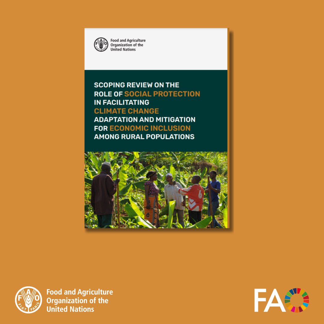 🆕 @FAO report confirms that #SocialProtection drives inclusive #ClimateAction. The Northern Uganda Social Action Fund boosted natural resource management through labour-intensive public works. 🌱 📗 Dive into more data and evidence ➡️ bit.ly/3w38uiV #EarthDay