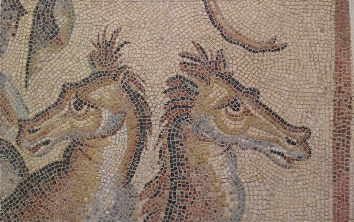 For #MosaicMonday, a fragment of a mosaic depicting the heads of two hippocamps, who pulled the chariot of Neptune in the larger mosaic, which only survives in this and a few other fragments. Dated to the 2nd-3rd century CE. Musée Rolin, Autun.

#Archaeology #RomanArchaeology