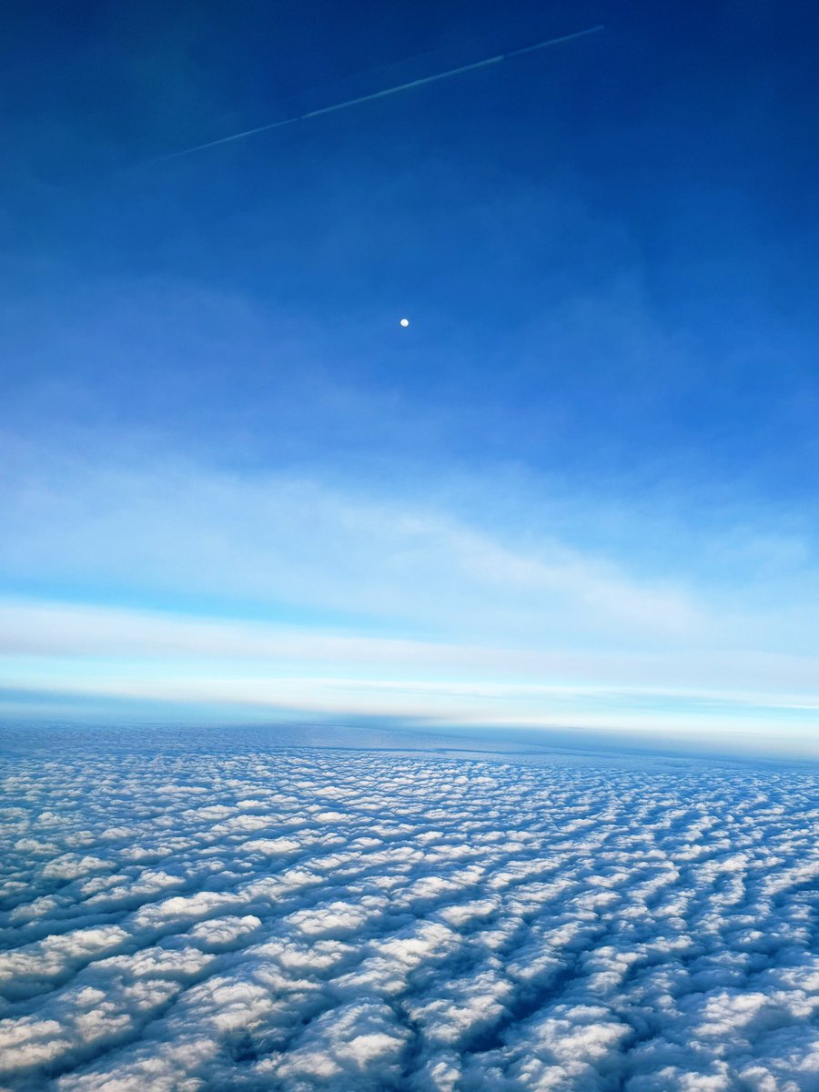 aguri_onishi's tweet photo. 昨日の帰りの景色✈️☁️🌕🩵✨ https://t.co/PAO4iUYJll