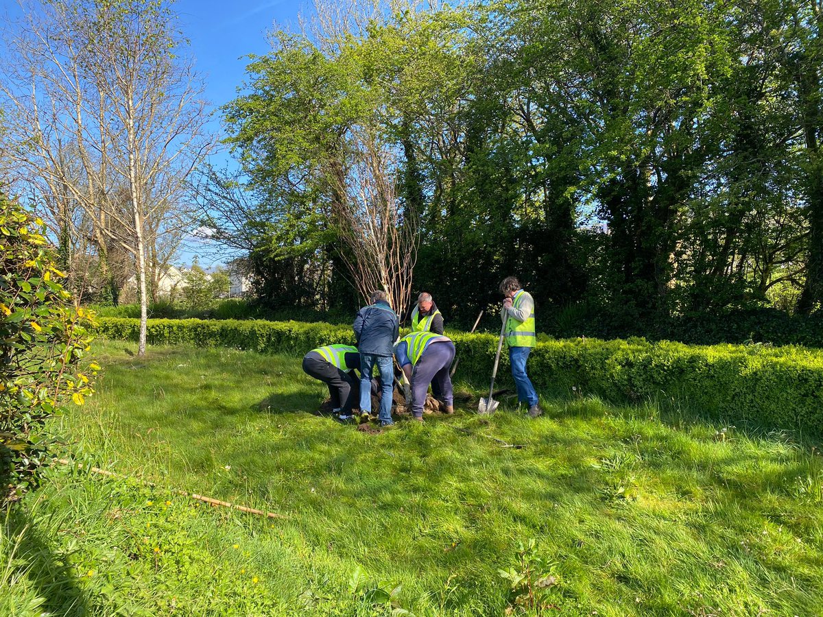 1916 Garden Of Remembrance Two of the seven trees being replaced with the chairman of Kenmare’s tidy towns Noel Crowley & volunteers. In 2016 over 365 gardens of remembrance were installed by community groups around the county to honour the women & men of our greatest generation