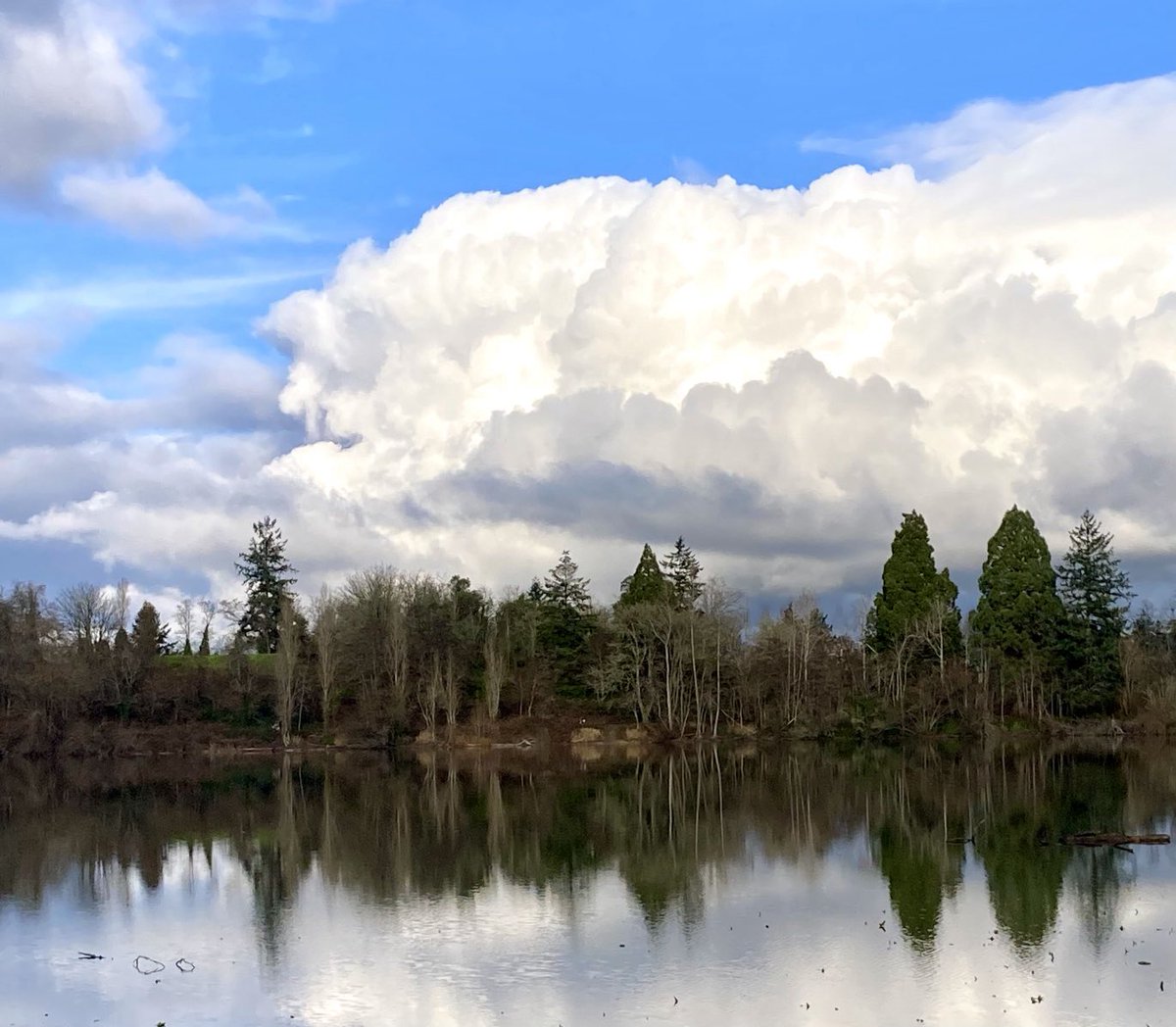 Happy #EarthDay! Show me one of your favorite places on Earth. This is Waughop Lake in #Lakewood, which I walk around a few times a week. #pnw #walking #getoutside