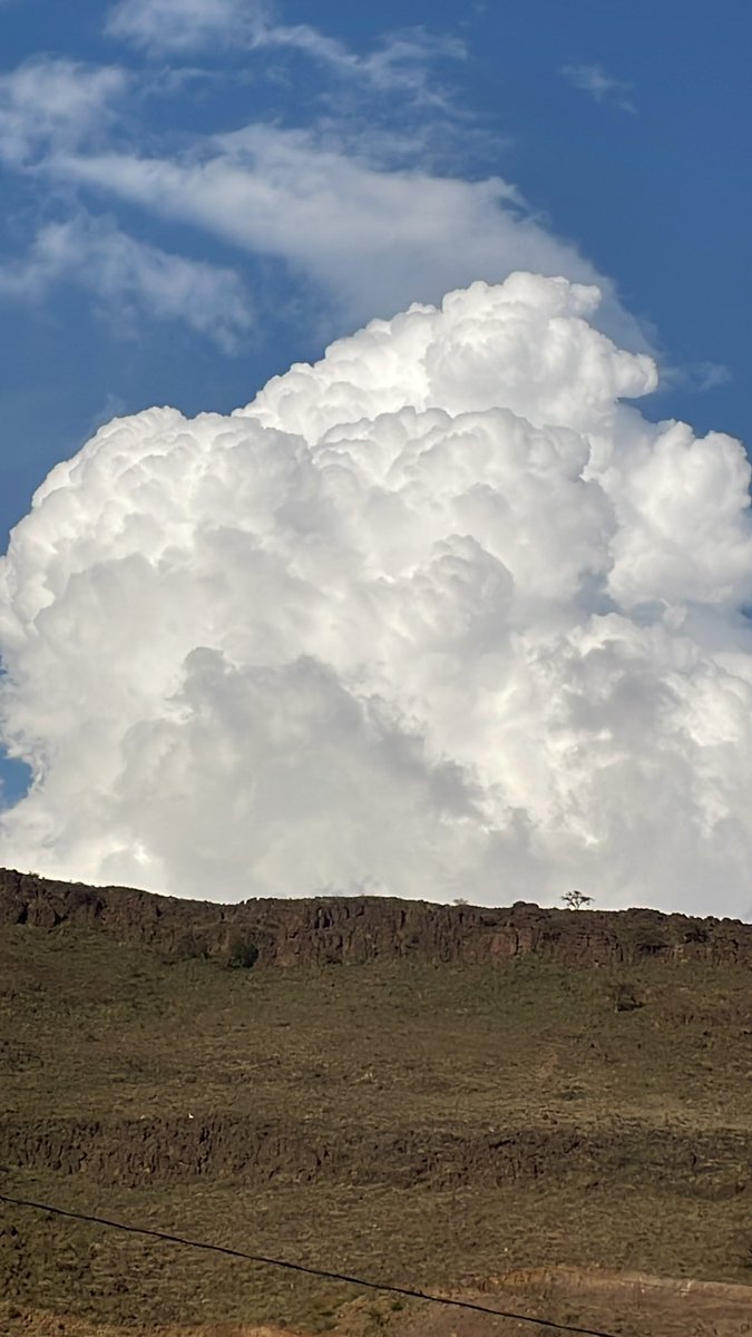 ssss_hq's tweet image. 