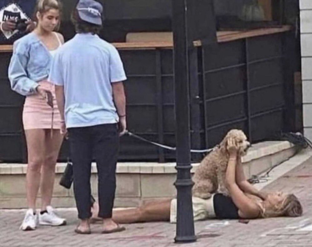 me petting strangers’ dogs