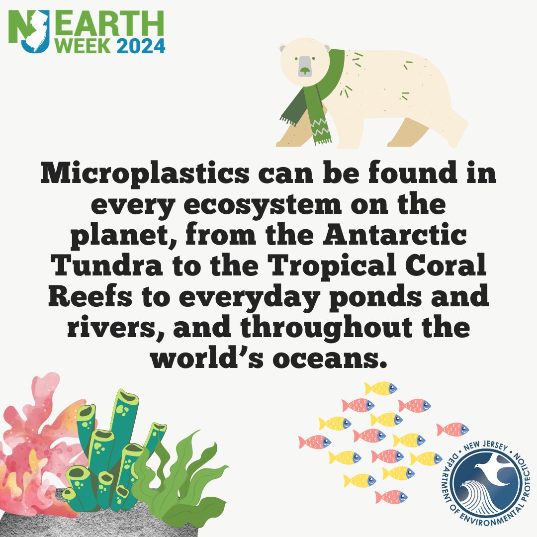 Happy Earth Day 🌍🌱 This year’s theme is Planet VS. Plastics and we’re kicking off Earth Week by turning the spotlight on something that can be found in every ecosystem; microplastics.