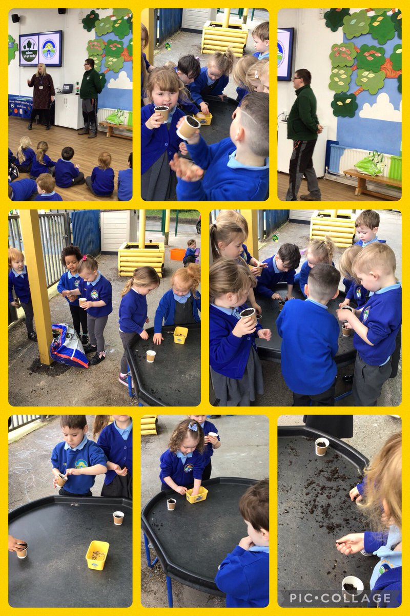 Diolch i @adamynyrardd am blannu blodau haul heddiw. Thank you to Adam for planting sunflower seeds with us today. Dosbarth Seren had a fantastic time. Diolch yn fawr. #WalesOutdoorLearningWeek 🌻🌻