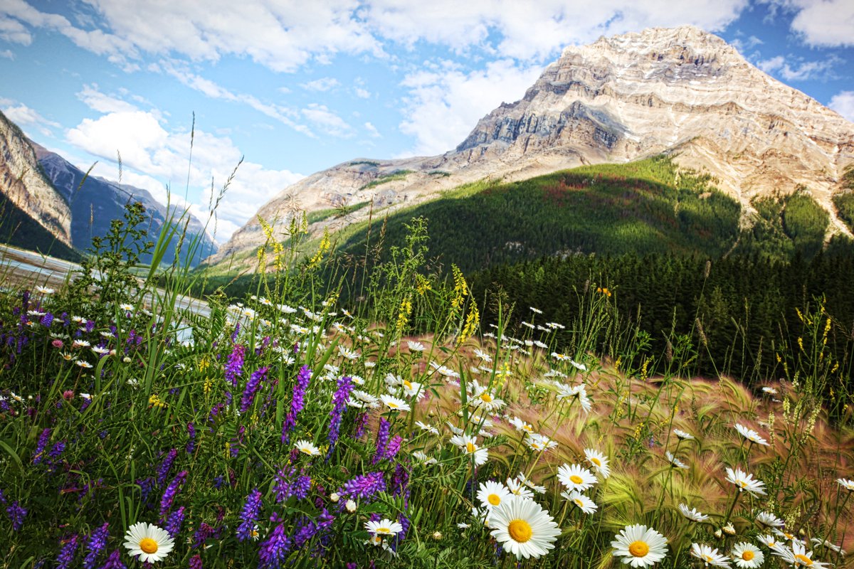 Spring is in full swing! What better way to enjoy the great weather than to have a #picnic? With stunning national & provincial parks, islands, and mountains, #Canada has some incredible picnic spots. #PicnicDay's tomorrow, we want to hear about your favourite sites! ⬇️🥪