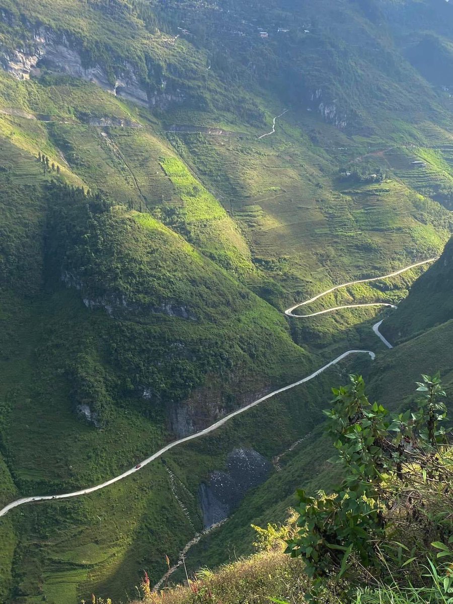 ⛰Caonguyenda💕🇻🇳 tweet media